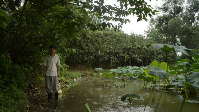 金年会(中国)官方网站入口