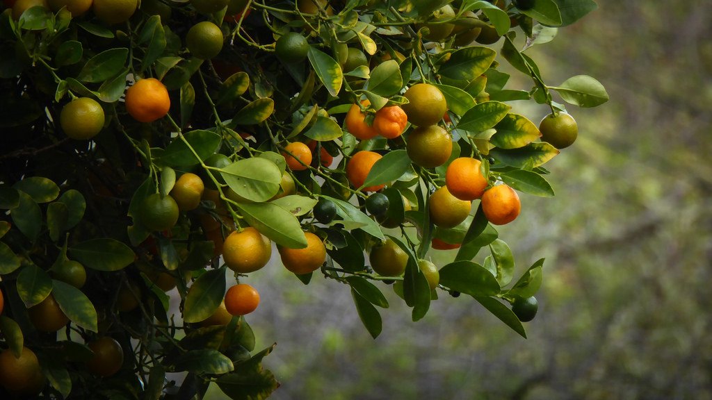 乐天堂fun88·(中国集团)官方网站