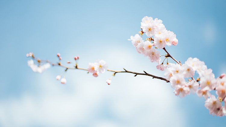 乐天堂fun88·(中国集团)官方网站