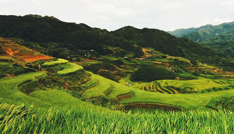 乐天堂fun88·(中国集团)官方网站