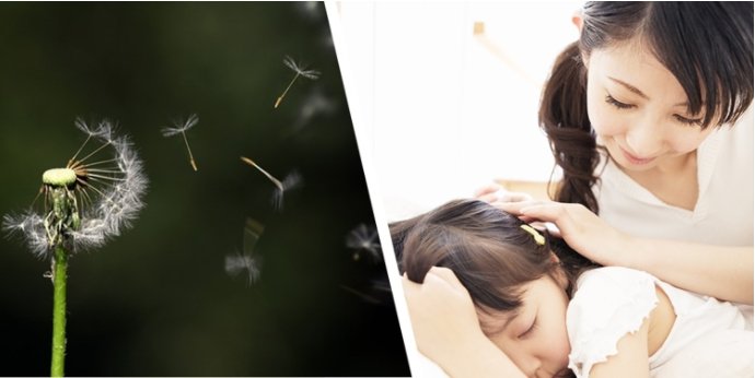 乐天堂fun88·(中国集团)官方网站